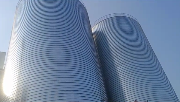 城西2座混凝土高架卷板仓